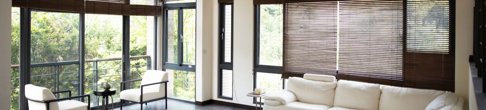 Motorized Window Shades